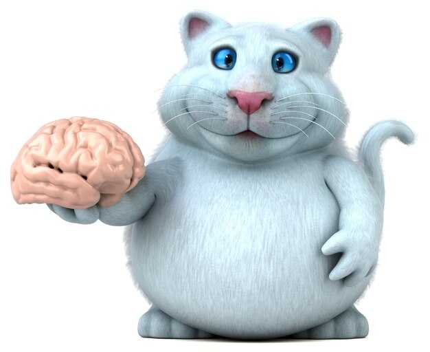 Интеллект у кошек – есть ли у них разум и какой IQ?
