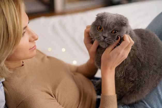 Определение пола у сфинксов