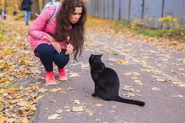 Как отучить кота метить территорию?
