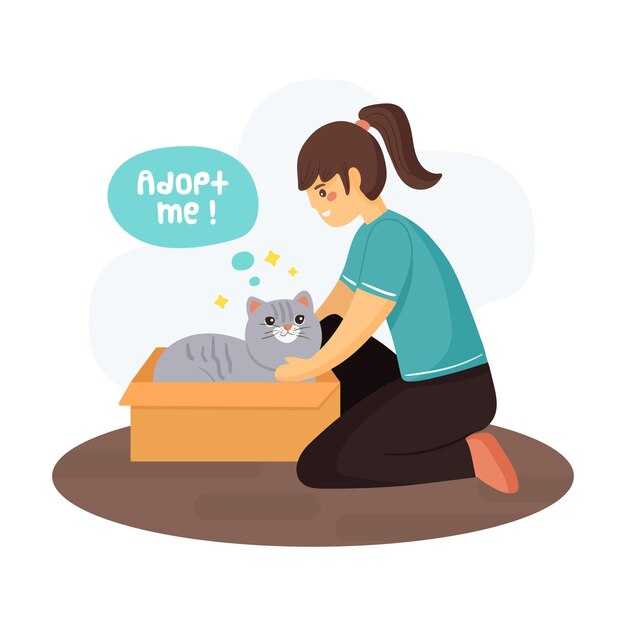 Как безболезненно расстаться с кошкой