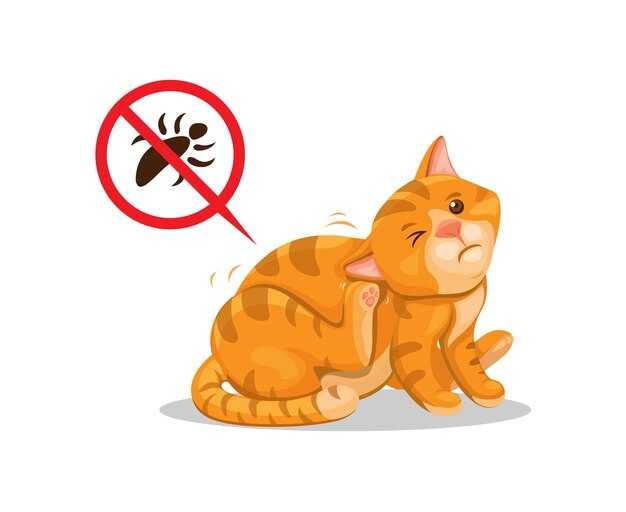 Клещи у кошек: симптомы и что делать, если питомца укусили