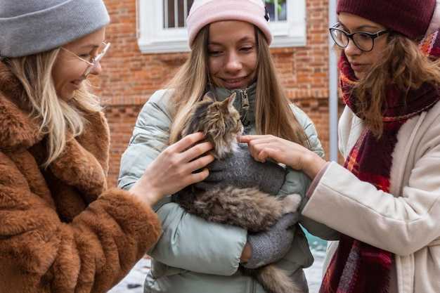 Какие навыки социализации желательны для беспроблемной адаптации к новым условиям