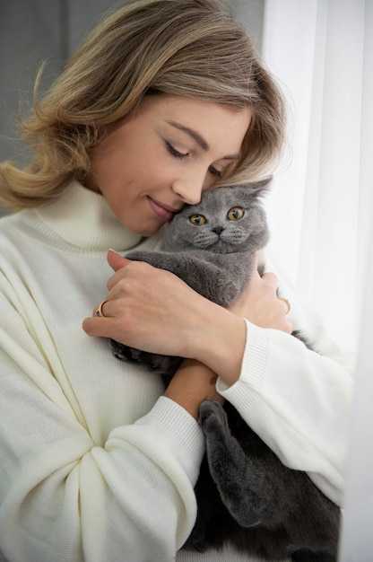 Ложная беременность у кошек – симптомы и лечение Ложная беременность у кошек – симптомы и лечение