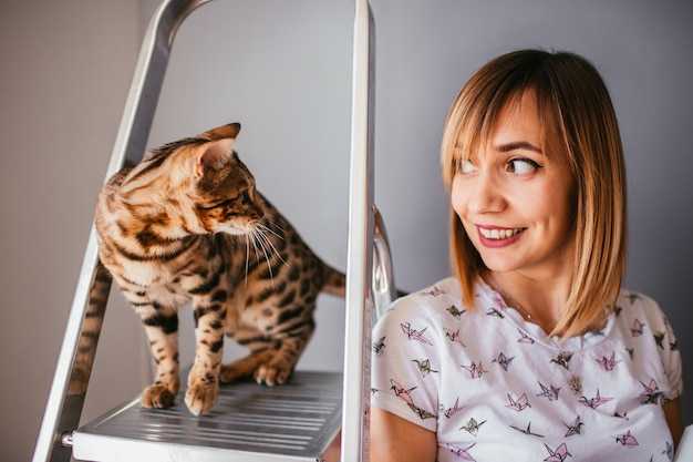 Почему нельзя дёргать кота за хвост Почему нельзя дёргать кота за хвост