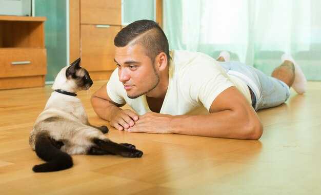 Судороги у котят